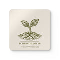 Parchment coaster with etching-style sprouting seed graphic, 1 Corinthians 3:6, and The Living Seed Co. wordmark on high-gloss MDF with cork back